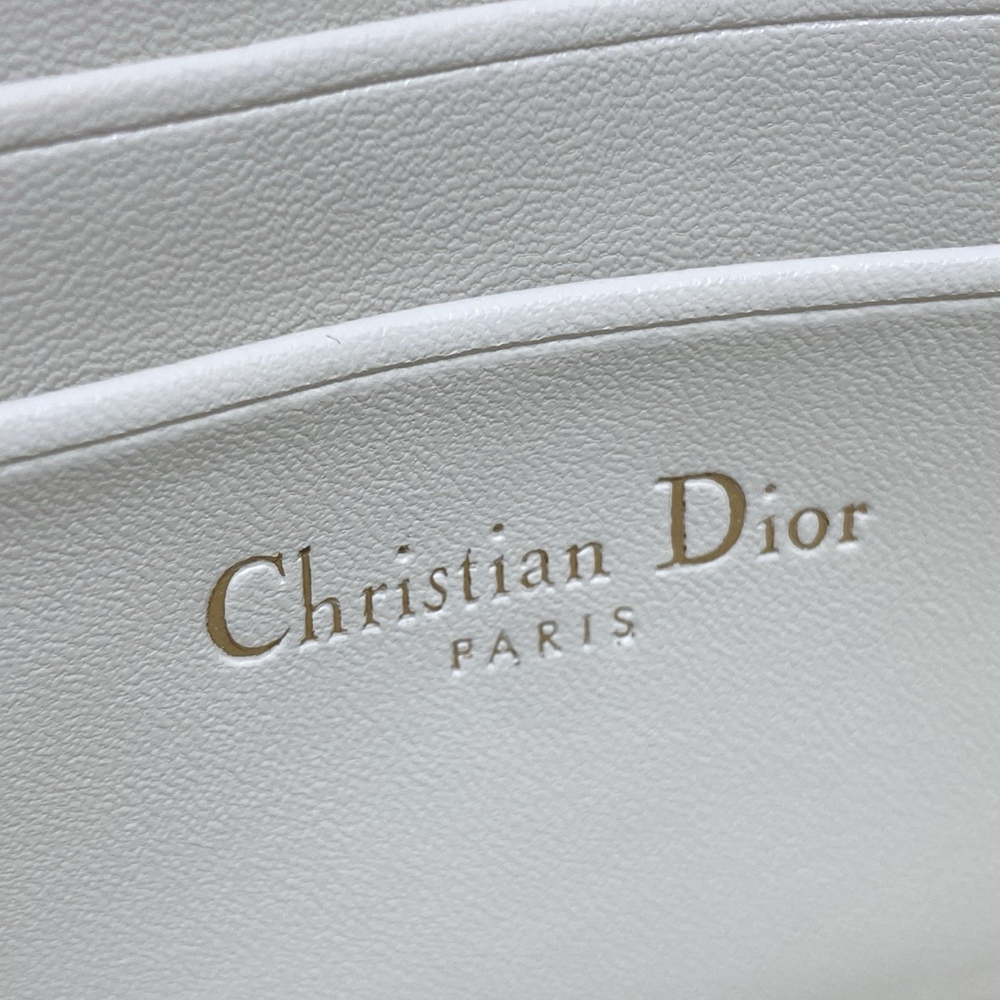 Dior Lady in Calfskin with Lizard Grain Pattern and Magnetic Snap for Handheld Shoulder Carry