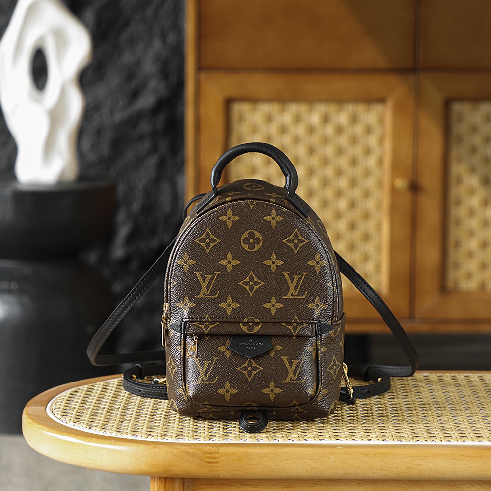 Louis Vuitton Palm Springs in Monogram Canvas with Zipper Closure for Backpacks and Shoulder Carry