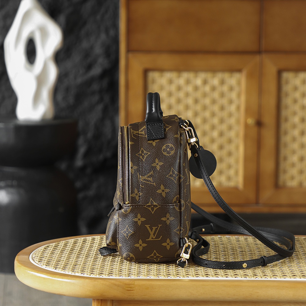 Louis Vuitton Palm Springs in Monogram Canvas with Zipper Closure for Backpacks and Shoulder Carry