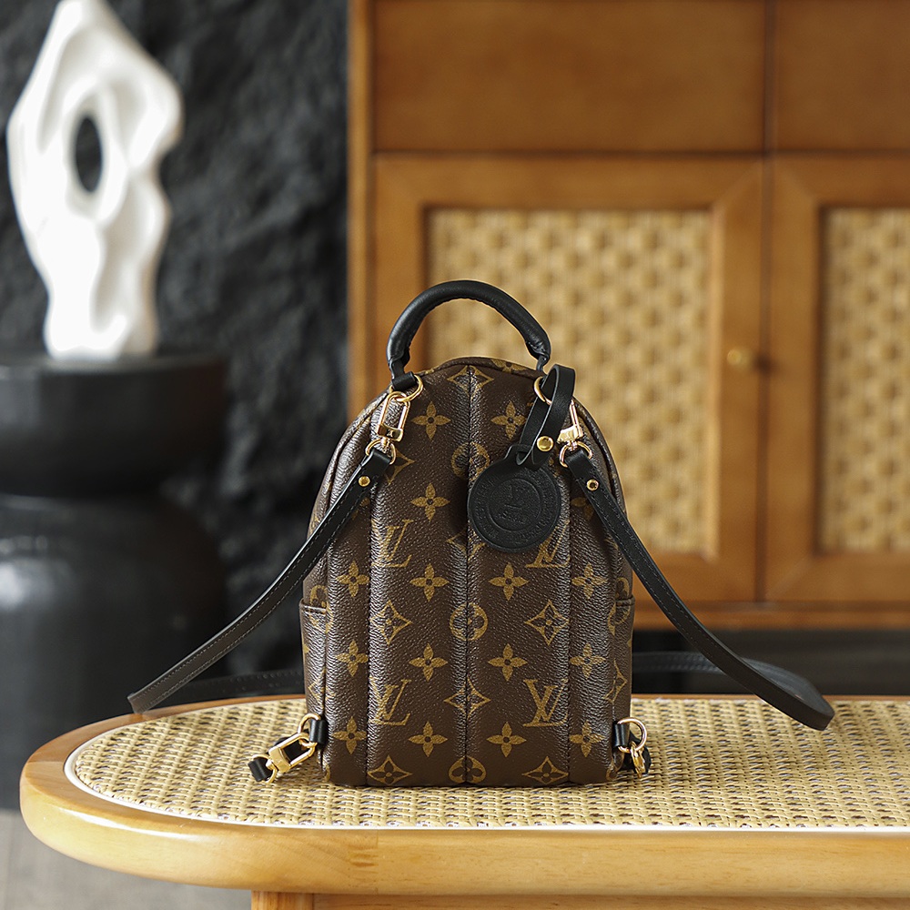 Louis Vuitton Palm Springs in Monogram Canvas with Zipper Closure for Backpacks and Shoulder Carry