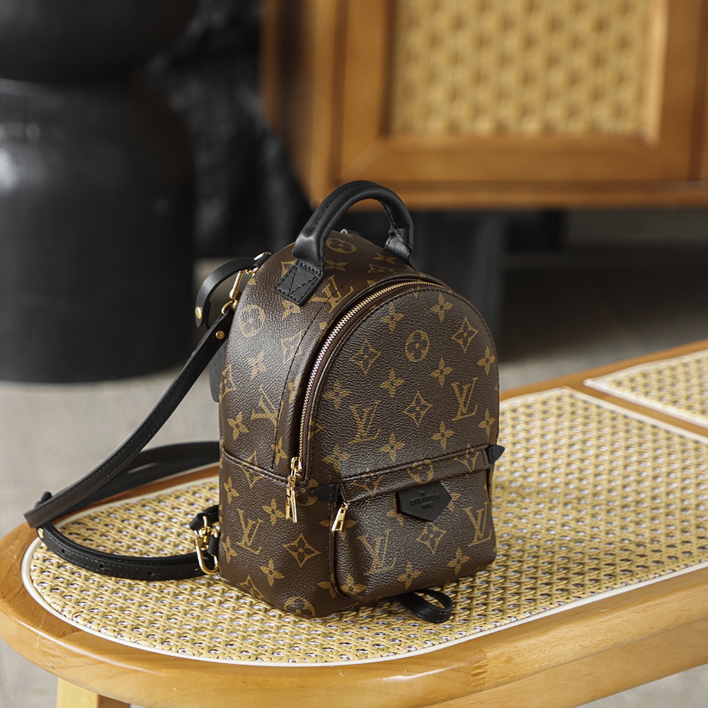 Louis Vuitton Palm Springs in Monogram Canvas with Zipper Closure for Backpacks and Shoulder Carry