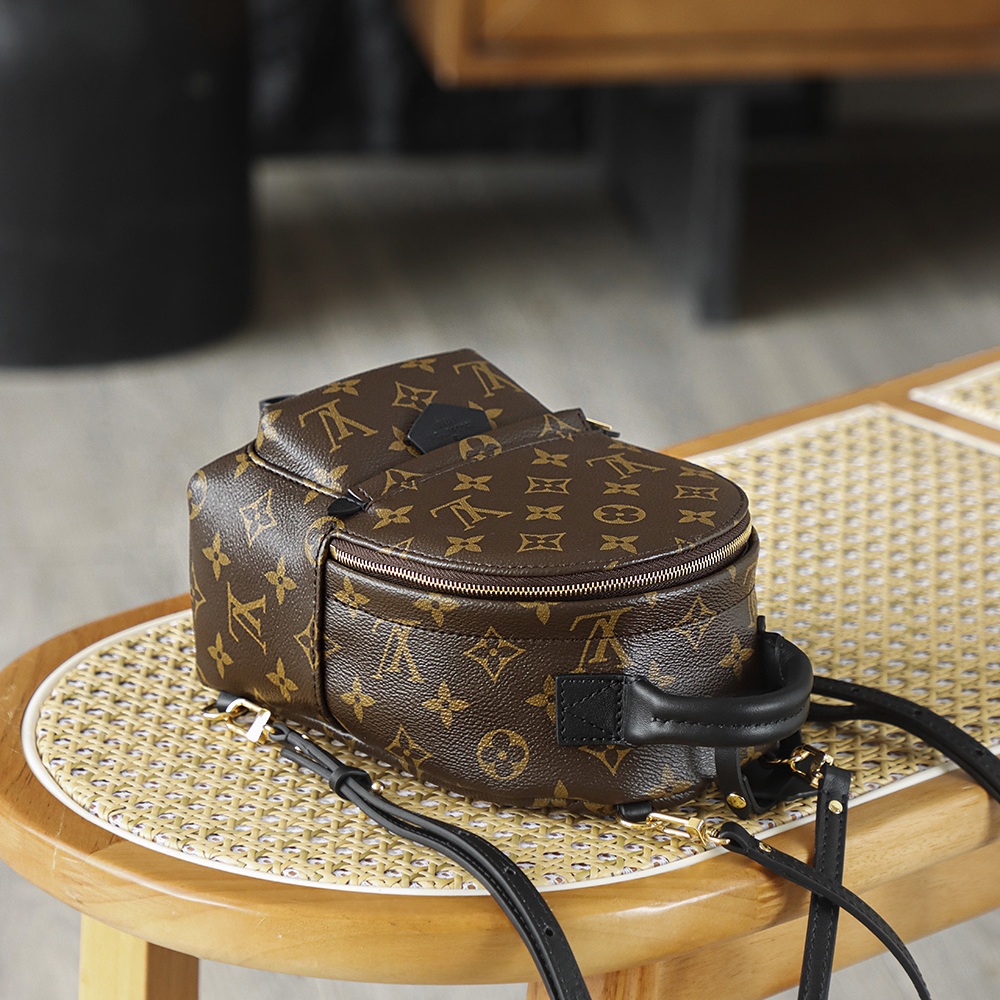 Louis Vuitton Palm Springs in Monogram Canvas with Zipper Closure for Backpacks and Shoulder Carry
