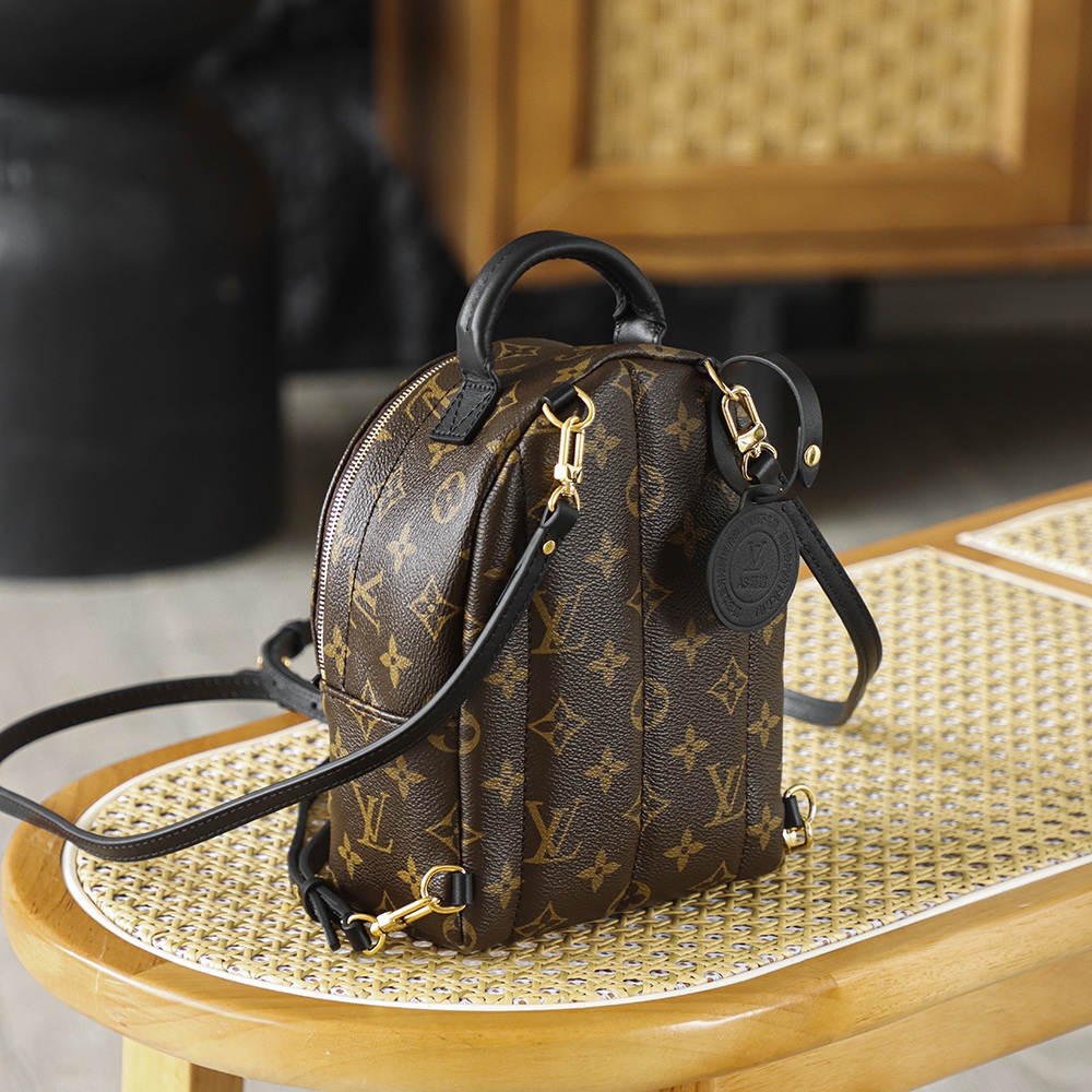 Louis Vuitton Palm Springs in Monogram Canvas with Zipper Closure for Backpacks and Shoulder Carry
