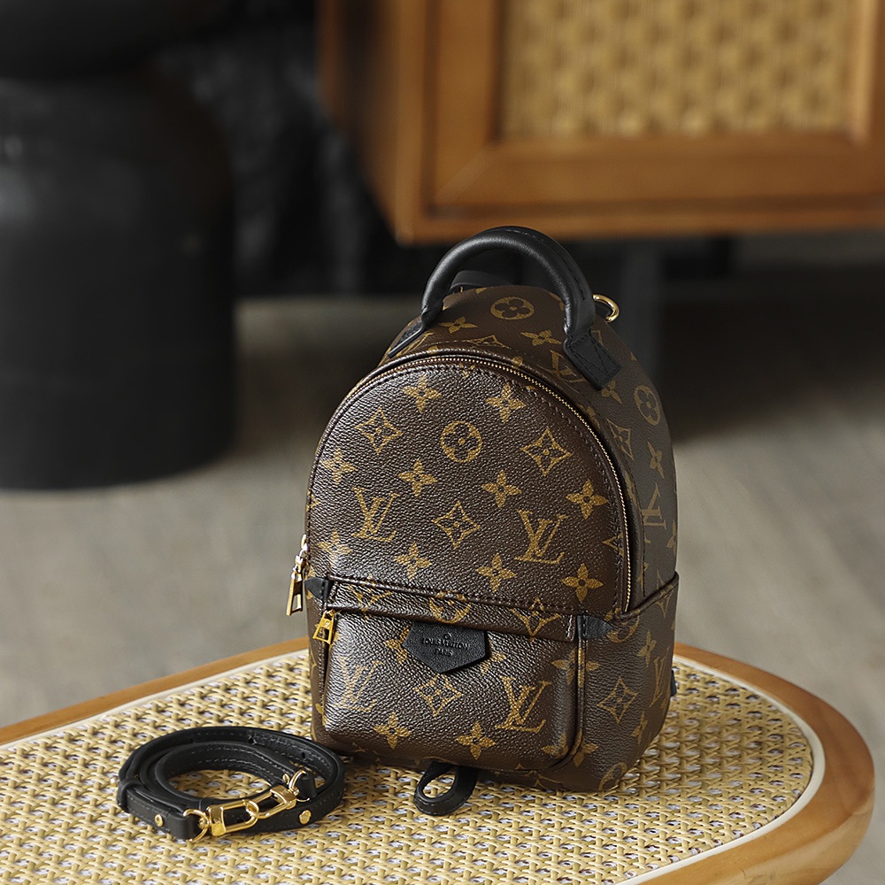 Louis Vuitton Palm Springs in Monogram Canvas with Zipper Closure for Backpacks and Shoulder Carry