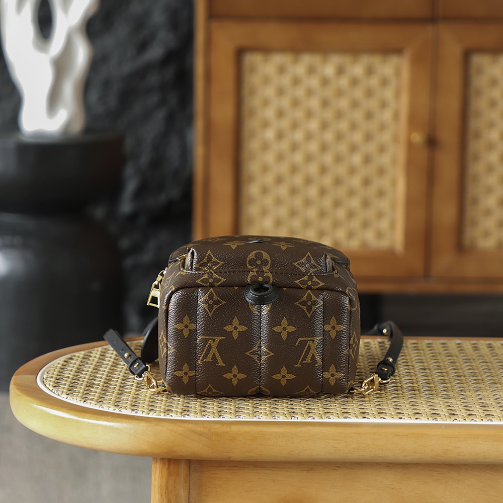 Louis Vuitton Palm Springs in Monogram Canvas with Zipper Closure for Backpacks and Shoulder Carry
