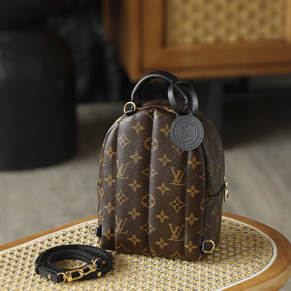 Louis Vuitton Palm Springs in Monogram Canvas with Zipper Closure for Backpacks and Shoulder Carry