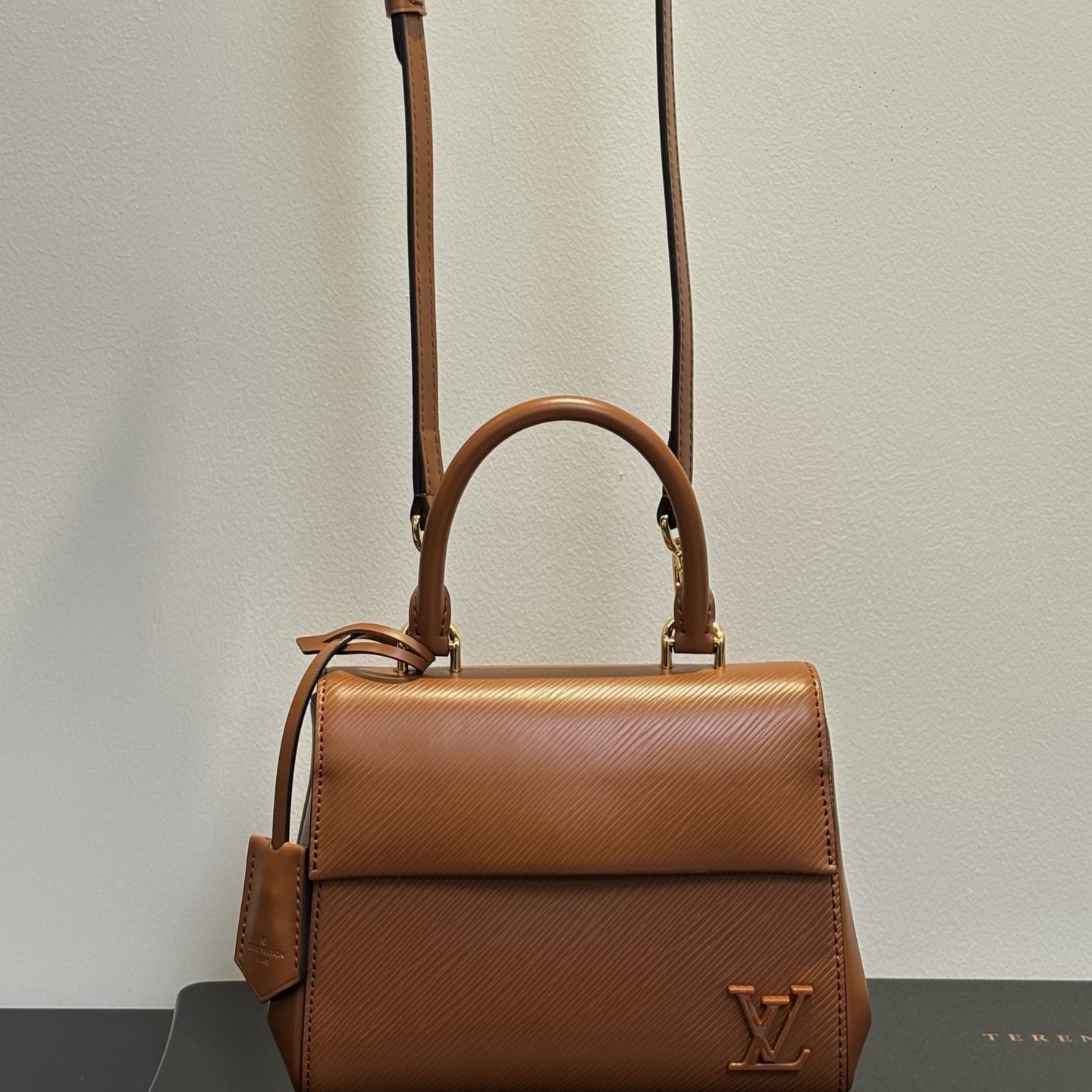 Louis Vuitton Cluny in Epi Leather with Turn-lock Flap Closure for Hand CarryShoulder BagCrossbody
