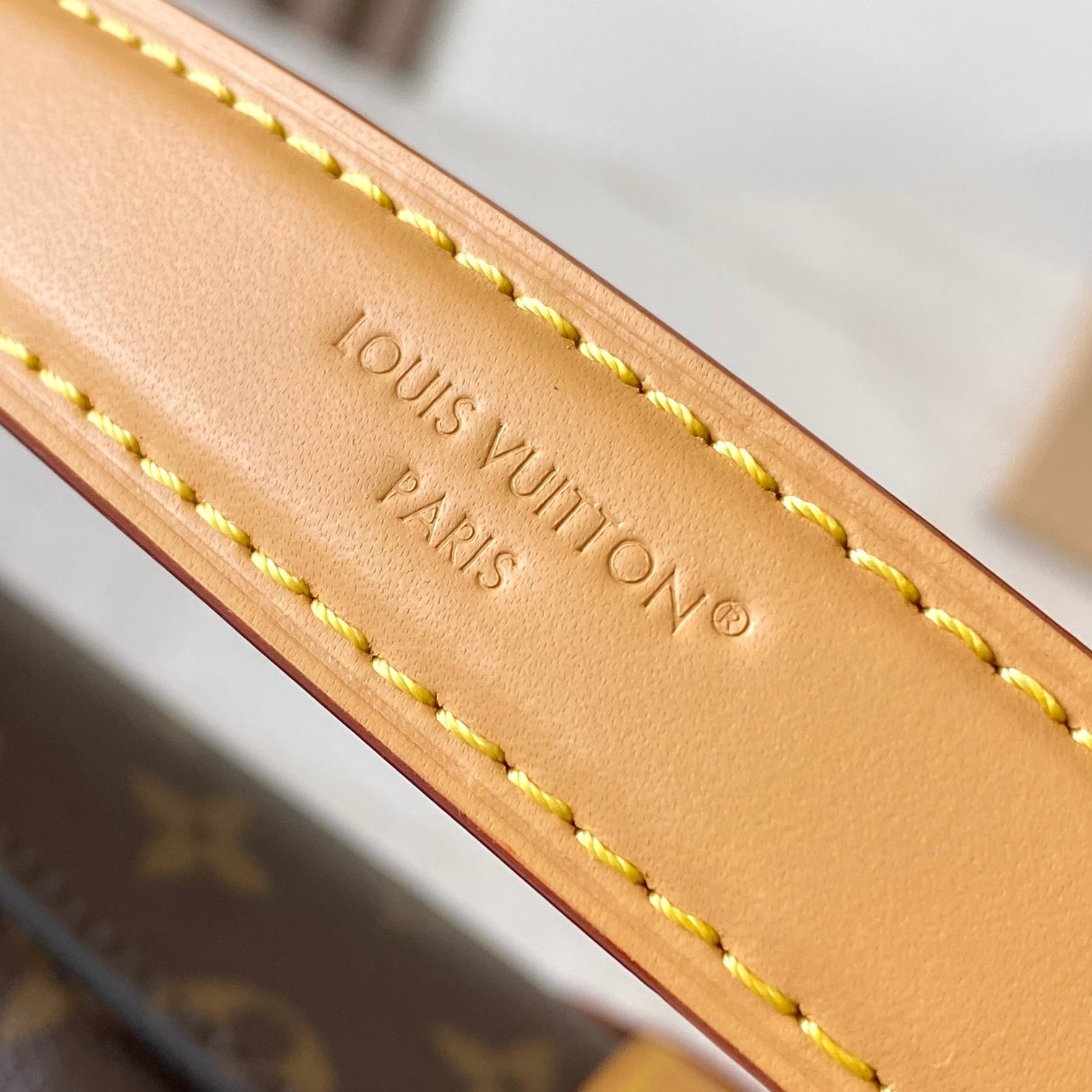 Louis Vuitton Vanity Chain in Monogram Canvas with Magnetic Snap for Shoulder Crossbody Carry
