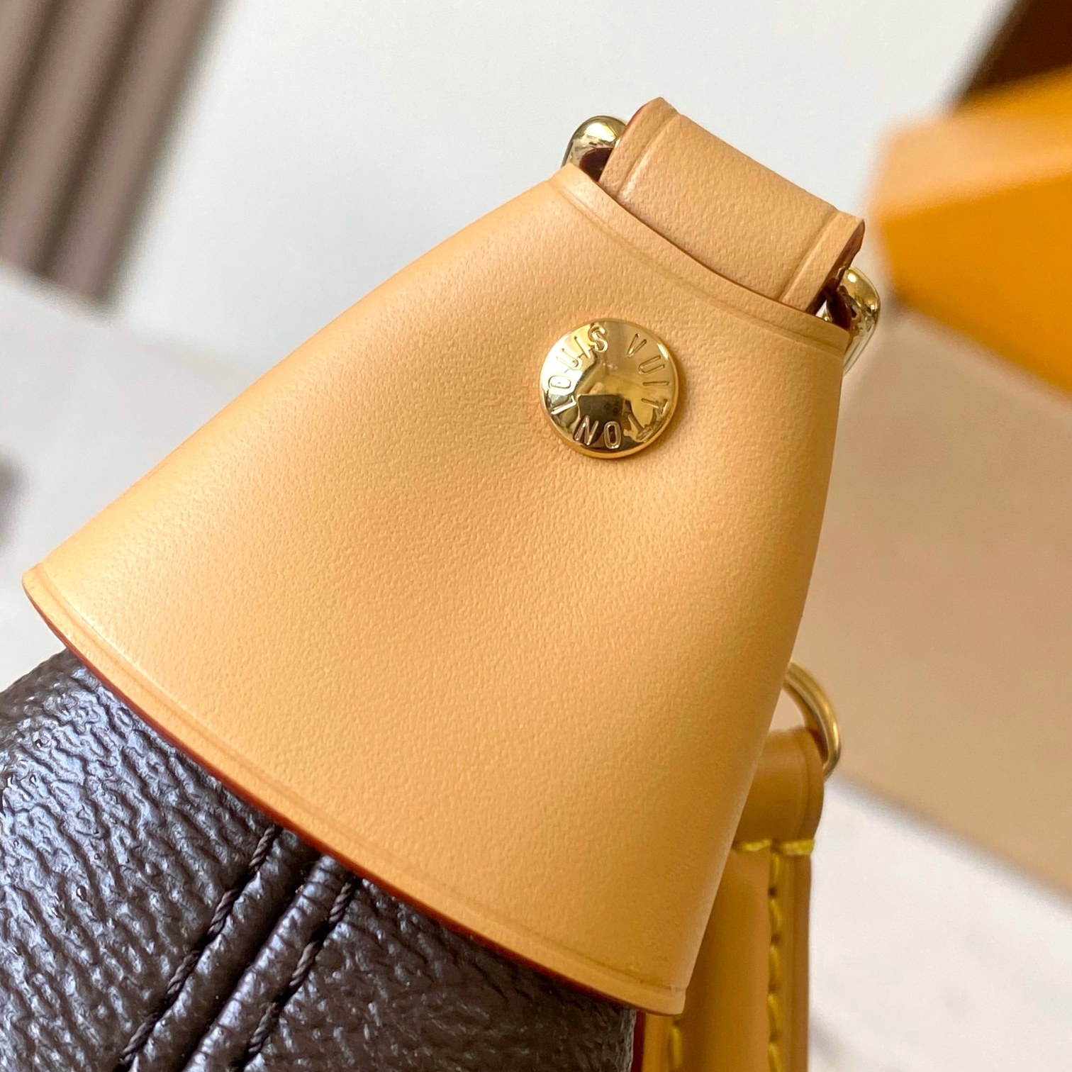 Louis Vuitton Vanity Chain in Monogram Canvas with Magnetic Snap for Shoulder Crossbody Carry