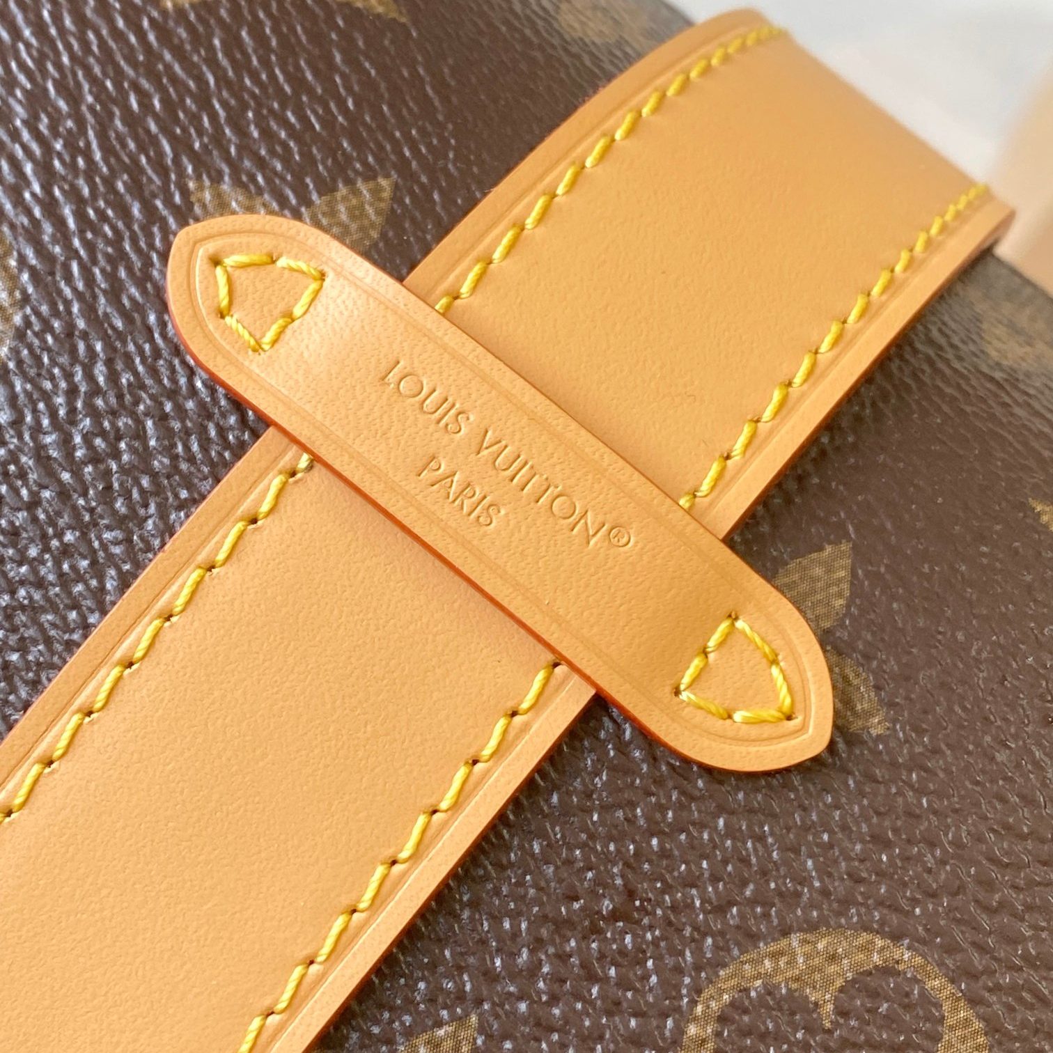 Louis Vuitton Vanity Chain in Monogram Canvas with Magnetic Snap for Shoulder Crossbody Carry