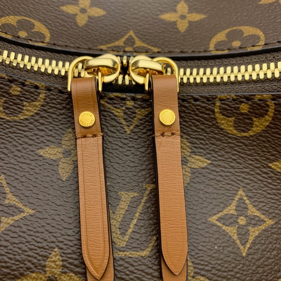 Louis Vuitton Marel in Monogram Canvas with Zipper Closure for ShoulderCrossbody M46311 Designer Bag