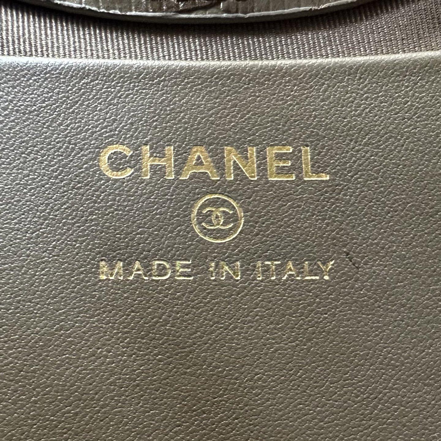 Chanel Nano 31 Lizard-embossed Calfskin Crossbody Bag with Magnetic Snap for Hand and Shoulder Carry