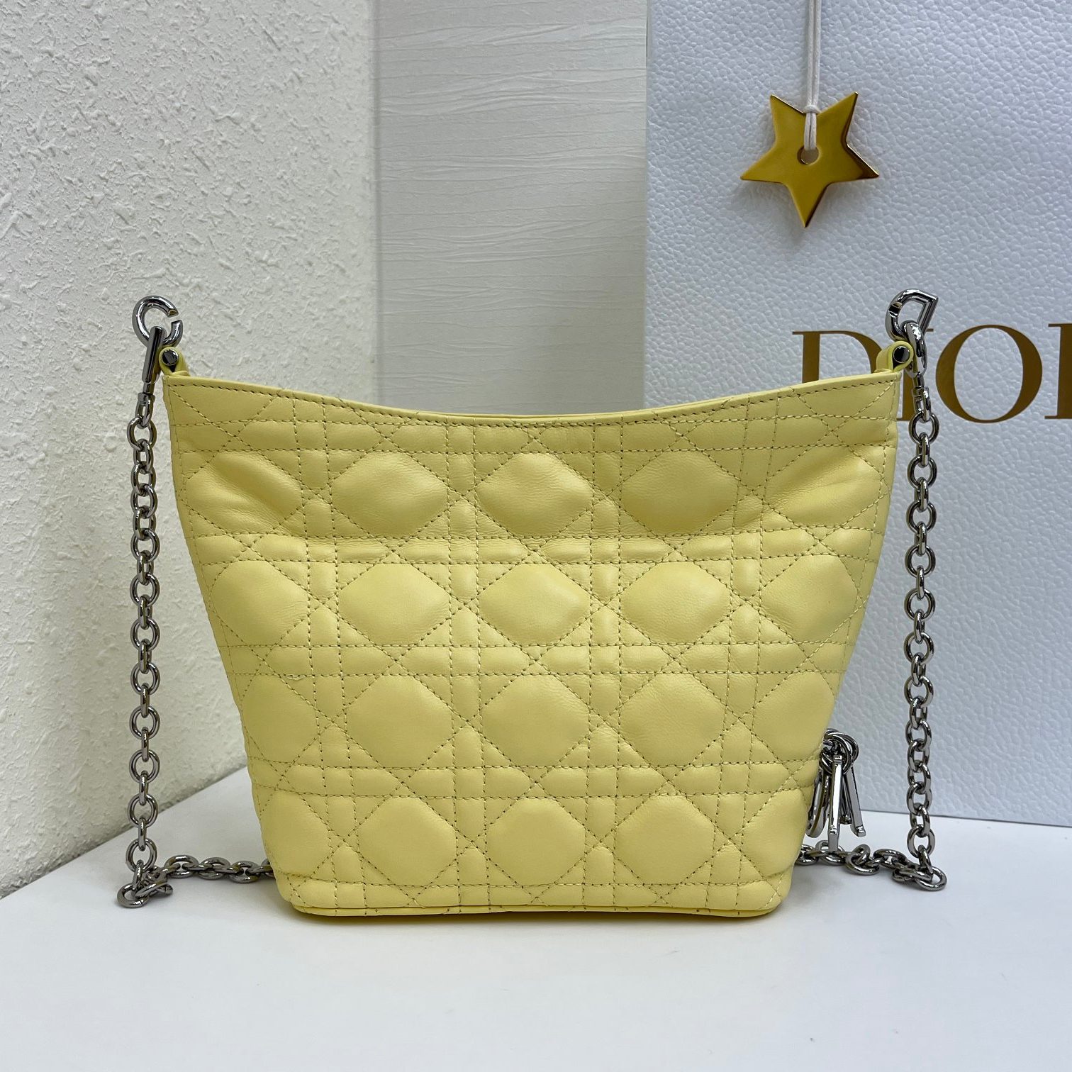 Dior Lady in Cannage Lamé Leather with Top Handle and Magnetic Snap for Handheld Shoulder Carry