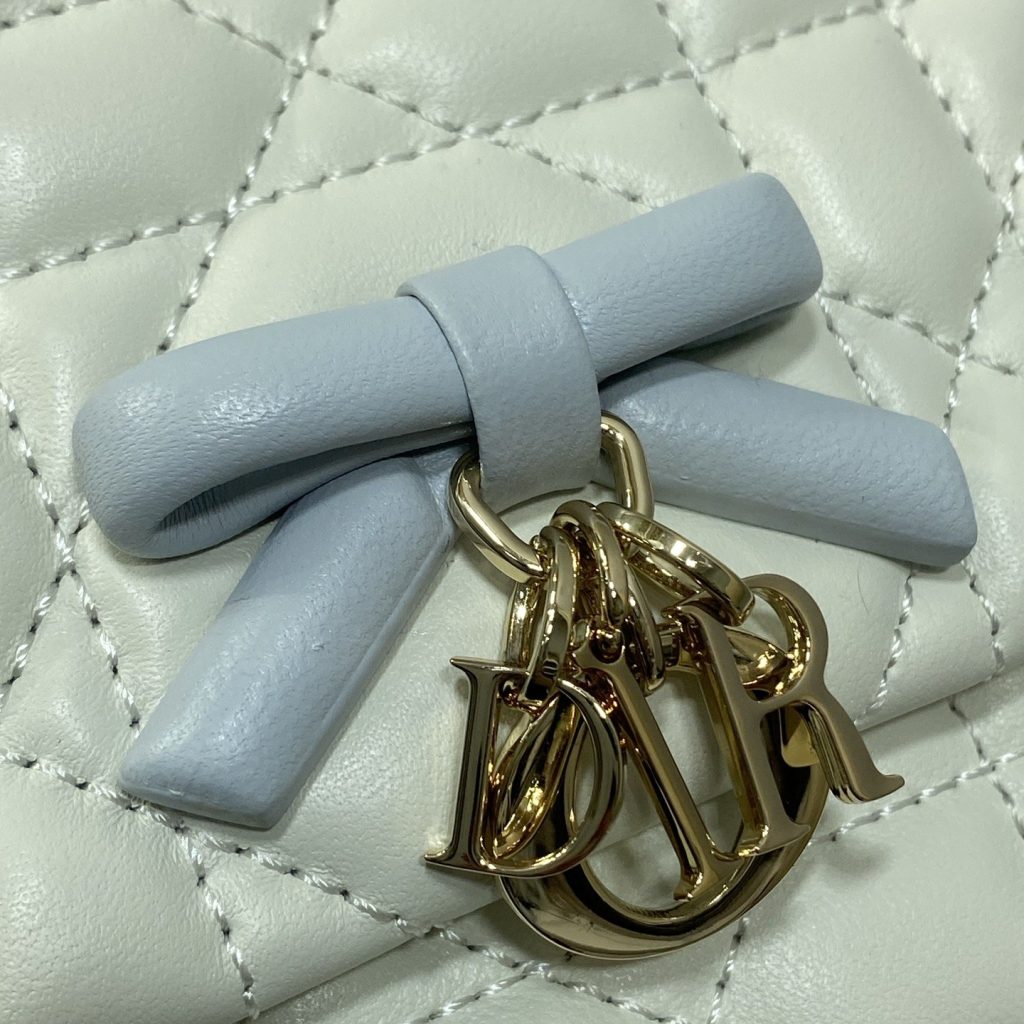 Dior Lady in Cannage Lamé Leather with Magnetic Snap for Handheld Shoulder Crossbody Carry
