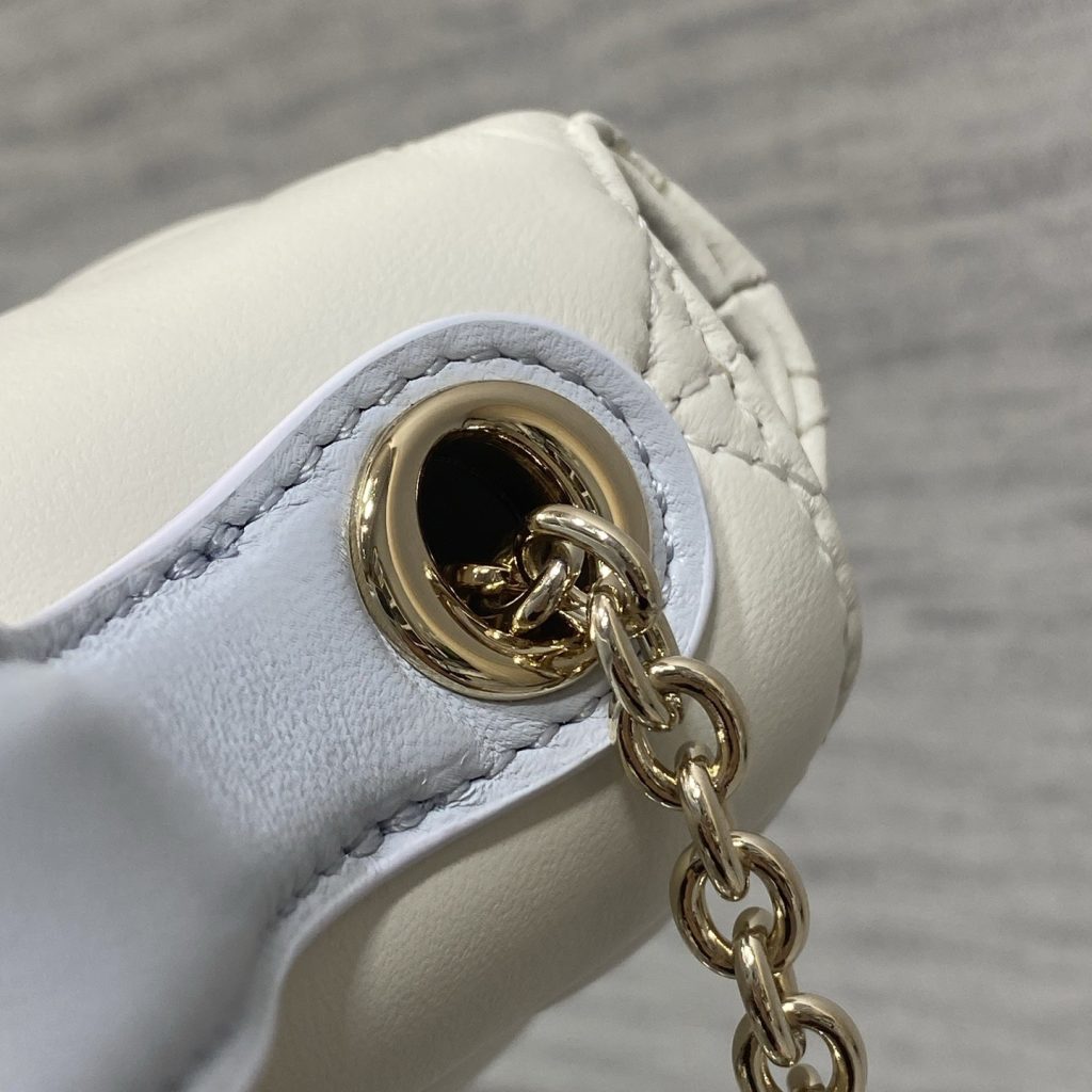 Dior Lady in Cannage Lamé Leather with Magnetic Snap for Handheld Shoulder Crossbody Carry