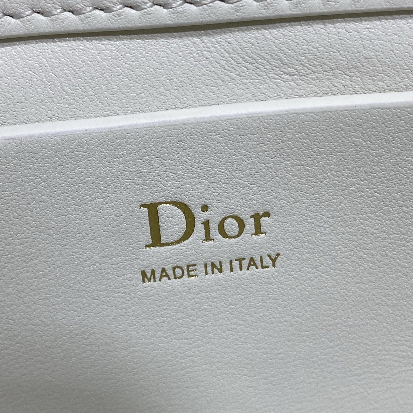 Dior Lady in Cannage Lamé Leather with Magnetic Snap for Handheld Shoulder Crossbody Carry