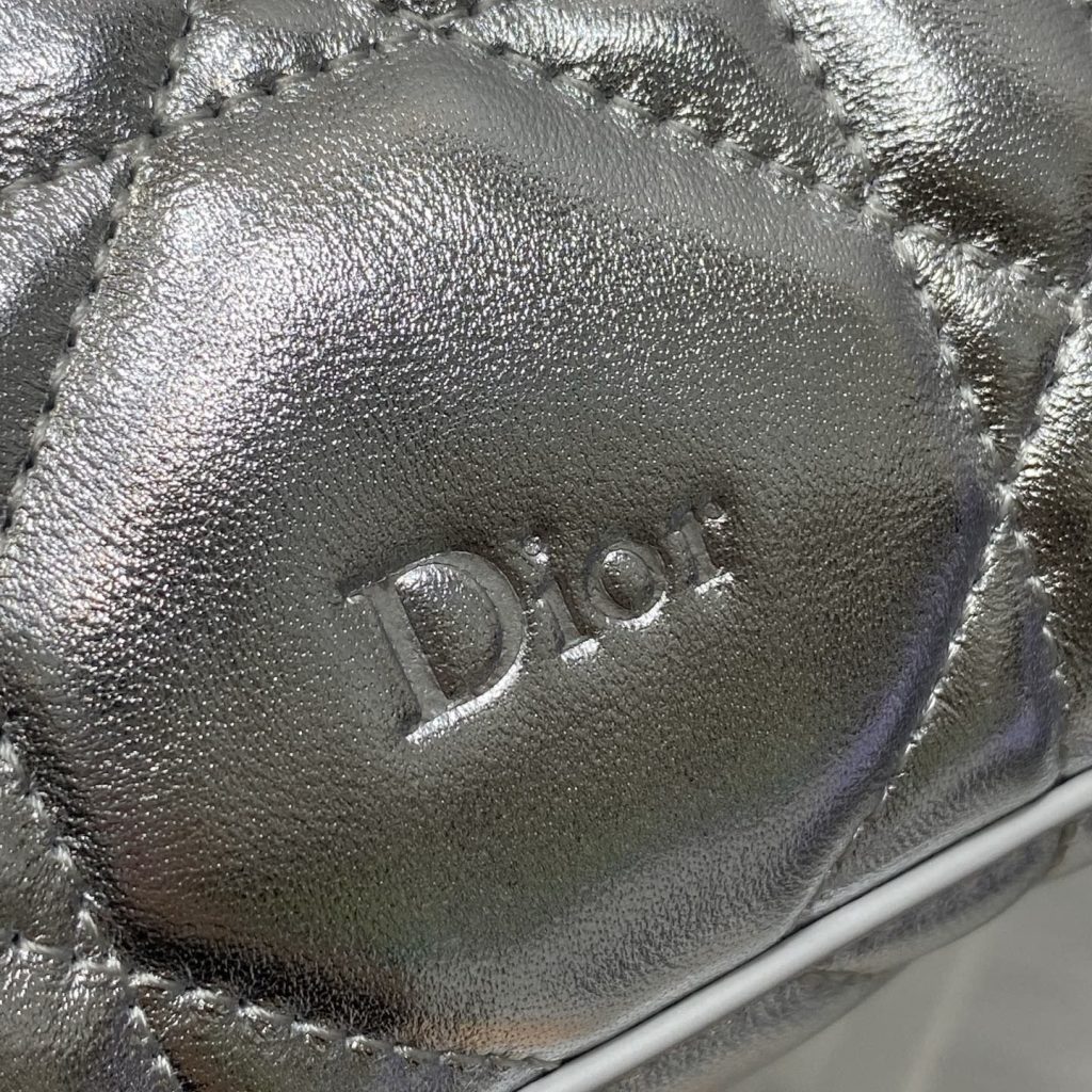 Dior Lady in Metallic Lamé Leather with Zipper for Shoulder Crossbody Bag Carry