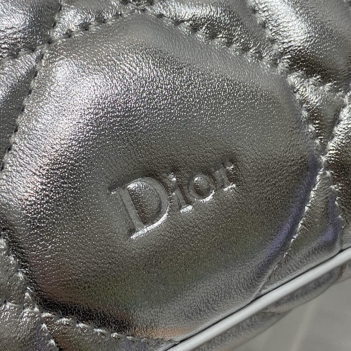 Dior Lady in Metallic Lamé Leather with Zipper for Shoulder Crossbody Bag Carry
