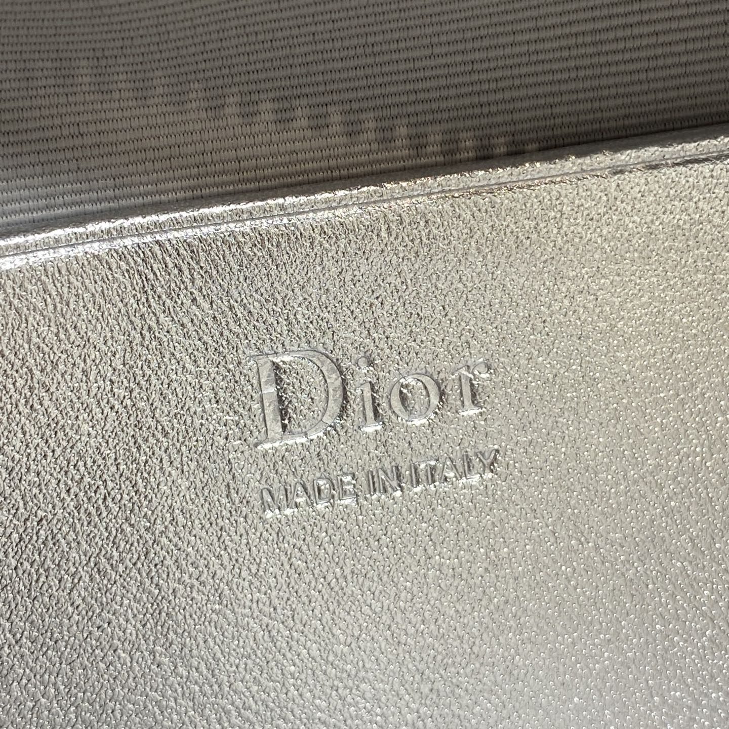 Dior Lady in Metallic Lamé Leather with Zipper for Shoulder Crossbody Bag Carry
