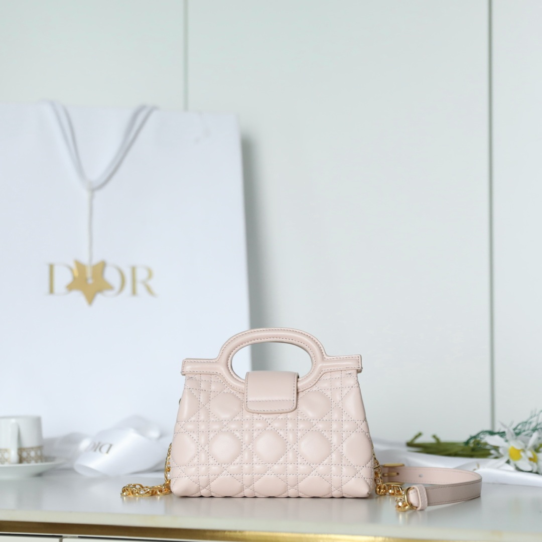 Dior Lady in Cannage Lamé Leather with Magnetic Snap for Handheld Shoulder Carry