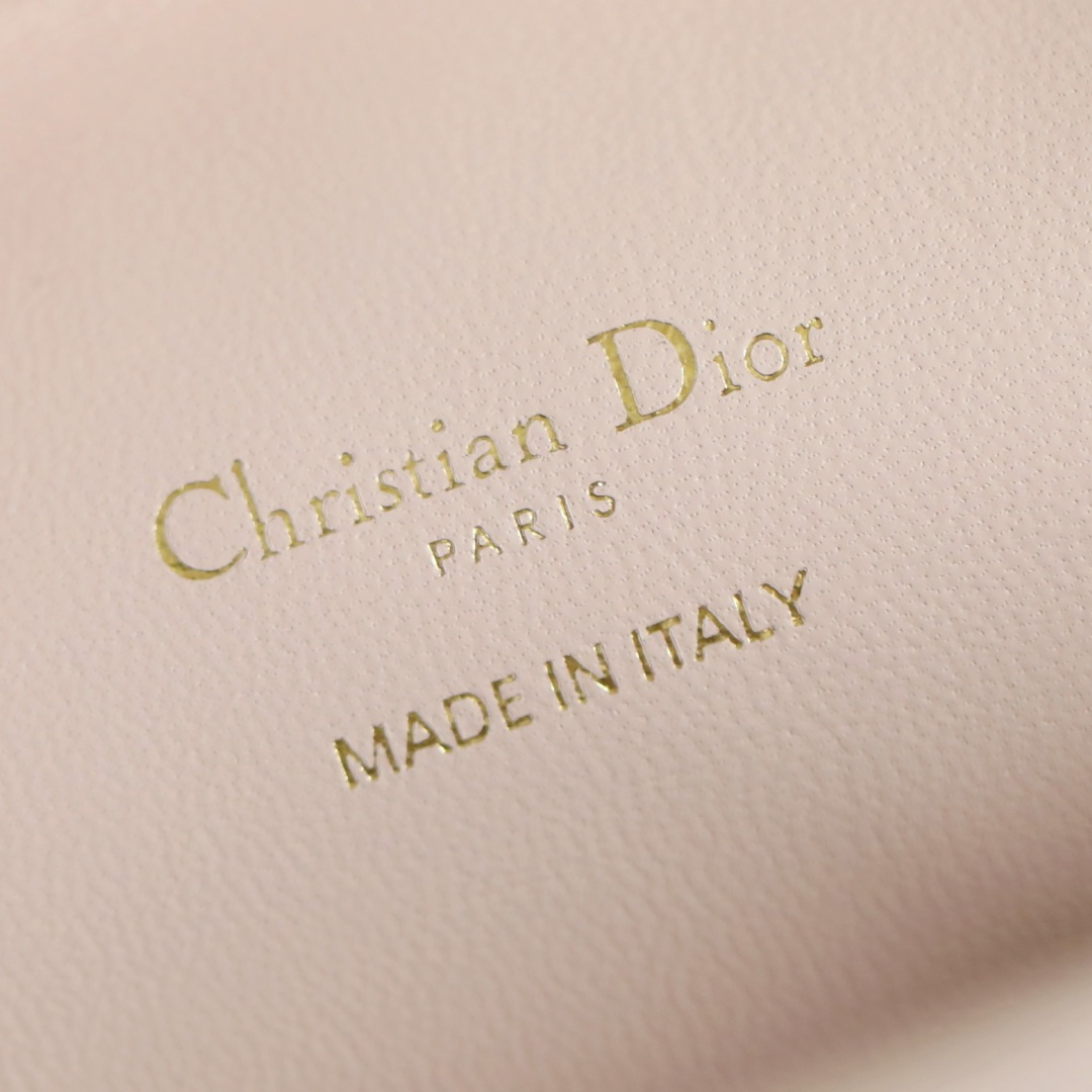 Dior Lady in Cannage Lamé Leather with Magnetic Snap for Handheld Shoulder Carry