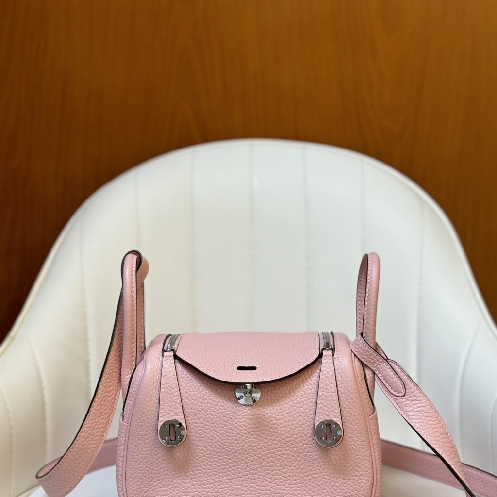 Longchamp Le Pliage Backpack Mini in Calfskin with Magnetic Snap and Zip and Gold Hardware