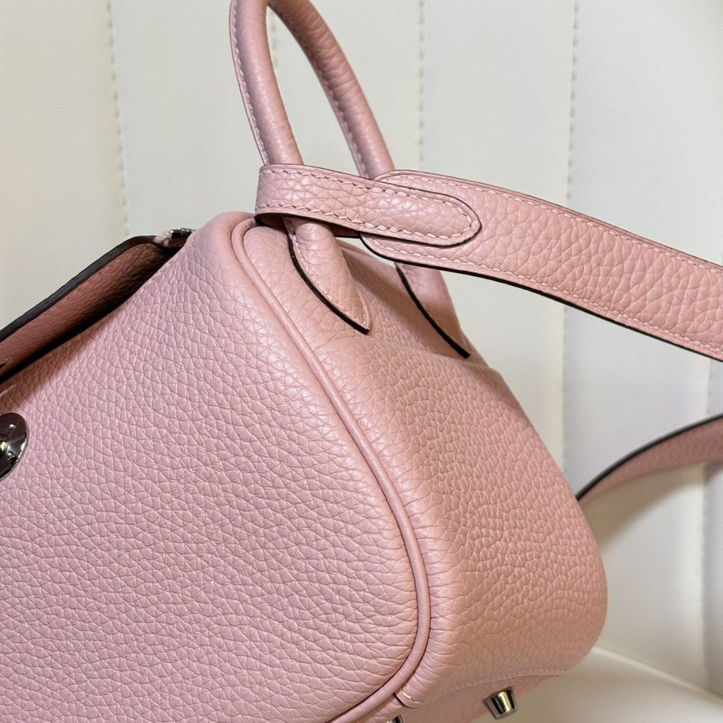 Longchamp Le Pliage Backpack Mini in Calfskin with Magnetic Snap and Zip and Gold Hardware