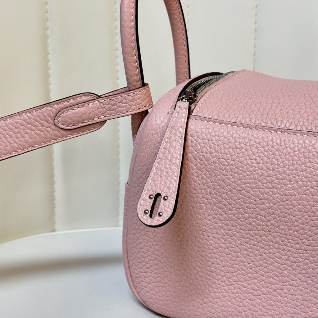 Longchamp Le Pliage Backpack Mini in Calfskin with Magnetic Snap and Zip and Gold Hardware