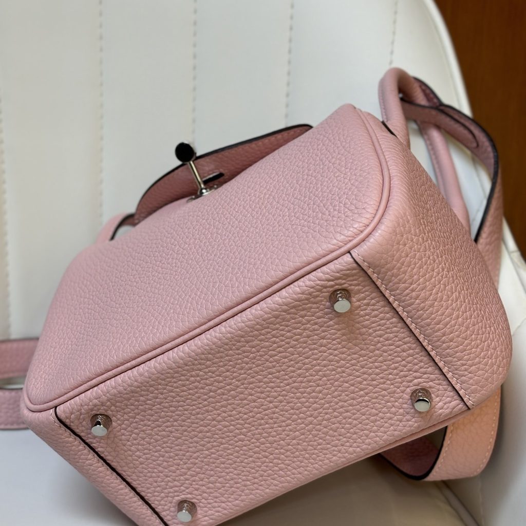 Longchamp Le Pliage Backpack Mini in Calfskin with Magnetic Snap and Zip and Gold Hardware
